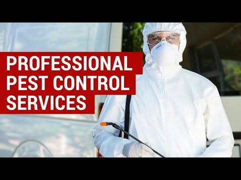 Pests:The Uninvited Guests! Learn How to Protect Your Home.