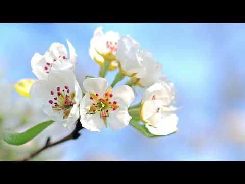 DANIEL SI EMANUELA HIRTIE - A fost o zi in viata mea