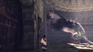 まったりと【人喰いの大鷲トリコ】実況プレイー7