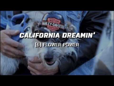 California Dreamin’ – Flower Power | Documentary about the hippie & rock legends