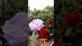 napkin rose | easy rose from tissue | paper flower making