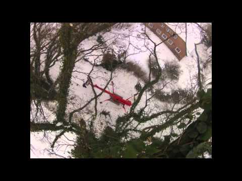 Astrein-Baumpflege - Rückschnitt einer Eiche aus ungewöhnlicher Perspektive