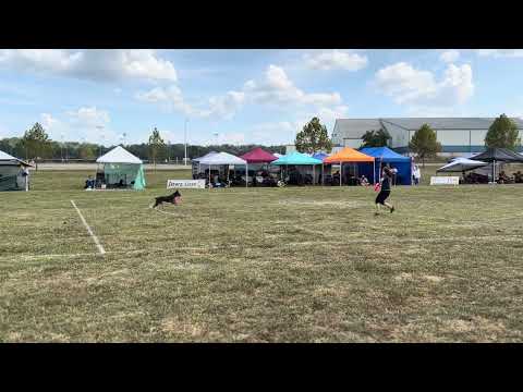 2023 Skyhoundz World Championship - Maureen Cucinella & Monster