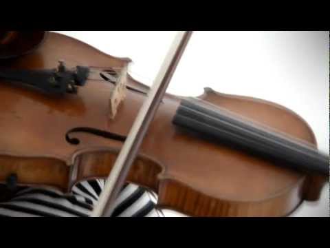 Stockholm Strings - Viva la vida + Pachelbel's Canon in D  + Gabriellas Sång + Libertango