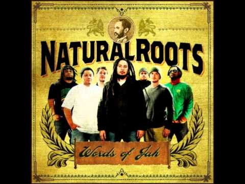 Natural Roots - New Tree