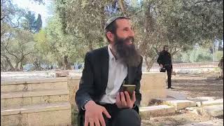 האם בתקופת הגלות עלו יהודים להר-הבית? | הרב אלישע וולפסון (ישיבת הר הבית) - התמונה מוצגת ישירות מתוך אתר האינטרנט יוטיוב. זכויות היוצרים בתמונה שייכות ליוצרה. קישור קרדיט למקור התוכן נמצא בתוך דף הסרטון