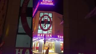 UNIVERSAL FATİH HAYVAN HASTANESİ