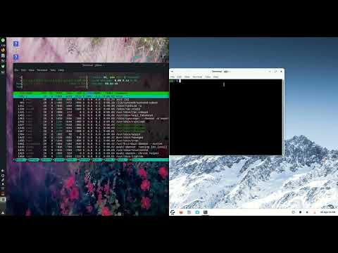 MX Linux 21 (XFCE) vs Zorin OS 16 Lite Edition: On RAM Usage
