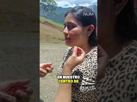 La maravillosa cultura Shuar está mucho más cerca de lo que imaginas. #ShuarNum #ZamoraChinchipe
