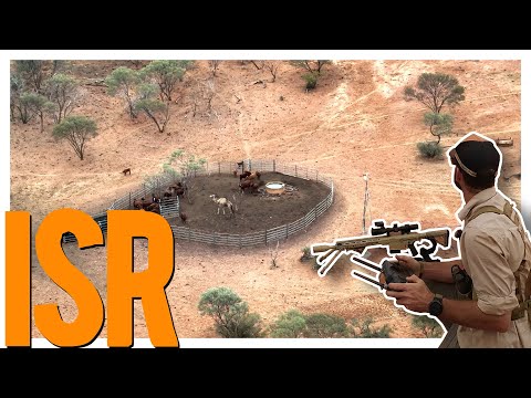 Pre-scouting the area, Camels and Cool Gadgets!