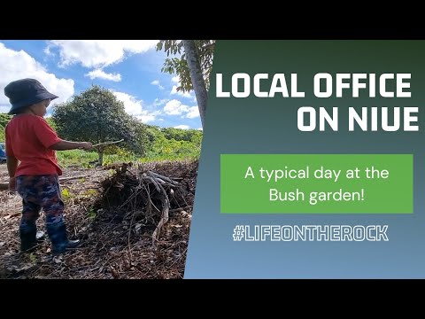Taro Farming 101 on Niue Island.