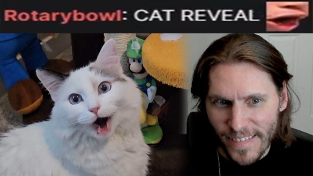 jerma REVEALS his new SECRET CAT