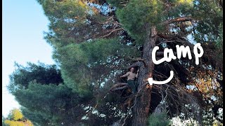 Tree Stealth Camp | Surrounded by Jackals