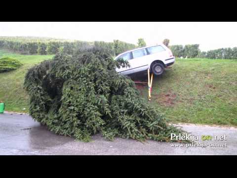 Prometna nesreča v Plešivici