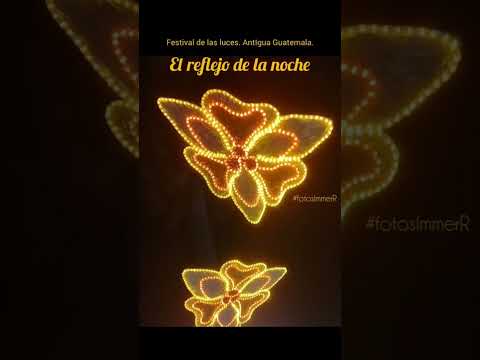 Festival de la Luces