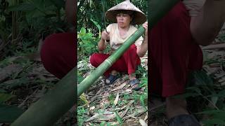 Download lagu Eel trap#howto #life #forest #skills #animals #asmr mp3
