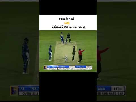 ඒ මොකද්ද උනේ 😳🤔#fyp #shorts #trending #cricket #cricketlover #yt #shortvideo