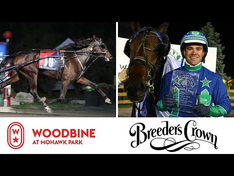 2019 Breeders Crown Final: 2YO Filly Trot | Woodbine At Mohawk Park, October 25, 2019 - Race 6