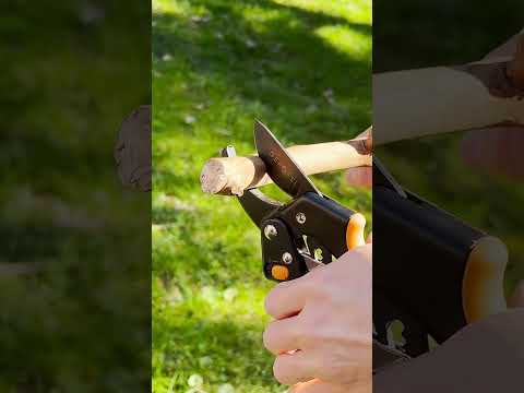 Ratchet Pruning Shears for Gardening Anvil Garden Clippers - Increases Cutting Power #shorts #short