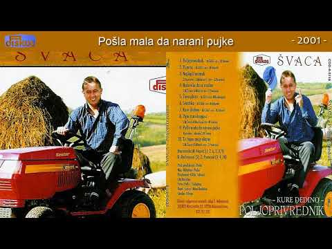 Slavisa Milanovic Svaca - Posla mala da narani pujke - (Audio 2001)
