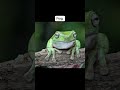 Different Animals Yawn Animals Memes