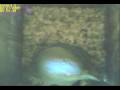 CA Nasa 20090227 Mp4