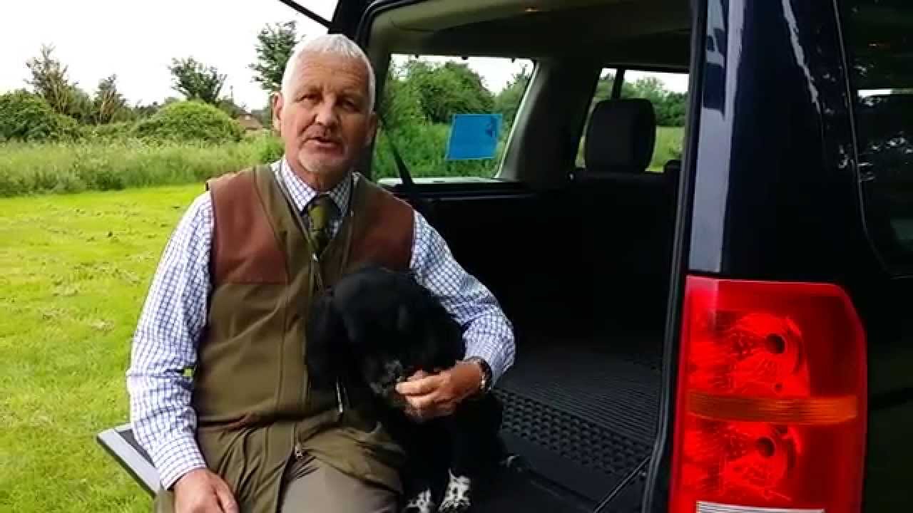 Watch video How to turn your slip lead into a halter lead Now How to turn your slip lead into a halter lead