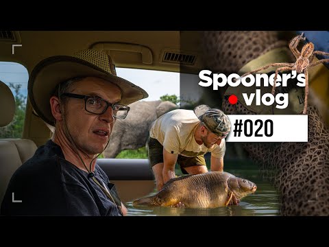 We Travel the World for The Monster Carp Special | Spooners Vlog #20