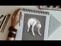 The Enfield Monster - Three Legged Creature Spotted in Enfield Illinois in 1973