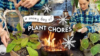 Cosy Snow Day | Finally Getting On Top of The Plant Chores I’ve Been Avoiding ❄️