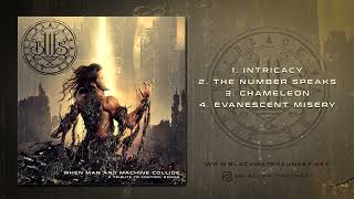 When Man and Machine Collide - A Tribute to Control Denied (Black Water Sunset Performance - 2024)