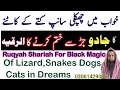 Ruqyah Aal Shariah If You See Lizard Dog Snake In Dream Listen This Ruqyah To Remove Their Magic