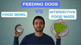 Feeding Dogs - Food BOWL vs Interactive FOOD MAZE