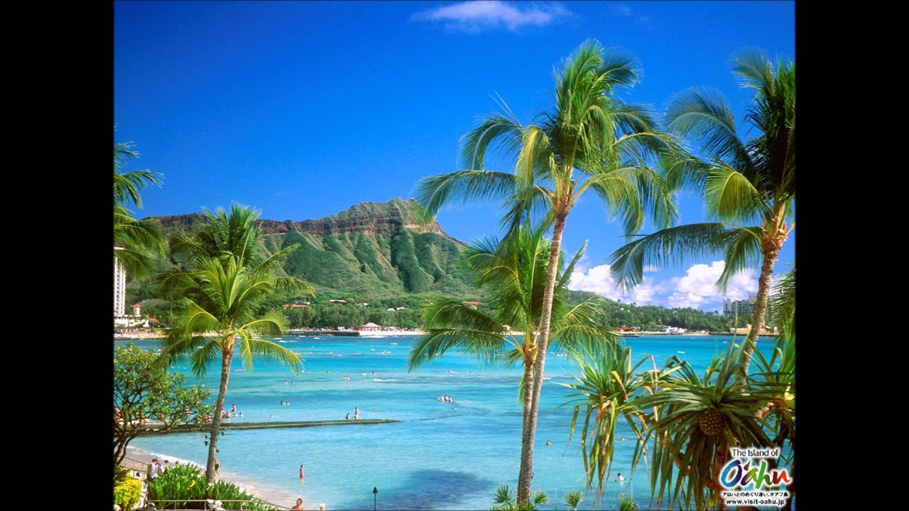 Tu Hai Meri Deewani Lyrics | Pyara Dushman | Asha Bhosle, Kishore Kumar | Bappi Lahiri