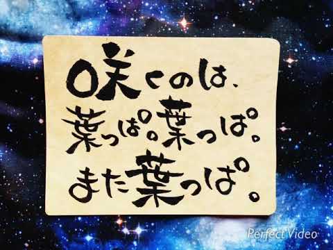 想いが伝わる30秒筆文字スライドショーを創ります イメージ1