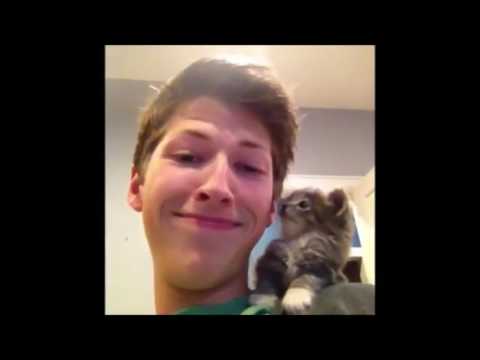 The best compilation of funny cat videos