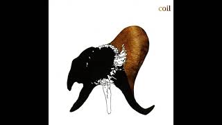 Coil – Teenage Lightning (10th Birthday Version)