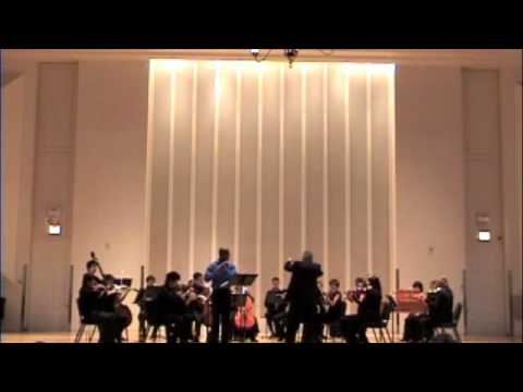 download lagu mp3 mp4 Mozart Andante For Flute Flute Concertos Nos 1 2, download mp3 Mozart Andante For Flute Flute Concertos Nos 1 2 free downloadn, video klip Mozart Andante For Flute Flute Concertos Nos 1 2