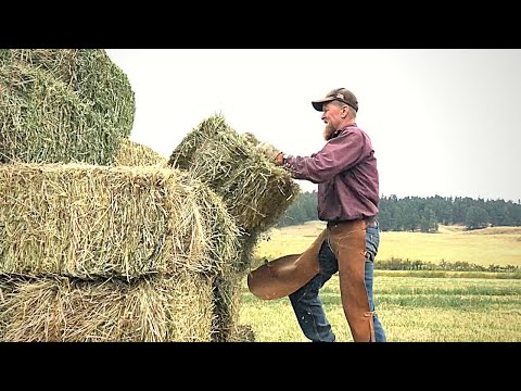 , title : 'How We get Hay for GOATS and Store it ALL Winter! 🥶 🐐💪🏻 (In Montana!)'