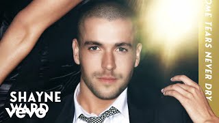 Shayne Ward - Some Tears Never Dry (Official Audio)