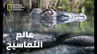 #وثائقى عالم التماسيح المفترسة العملاقة 2020 افلام وثائقية 48 دقيقة
