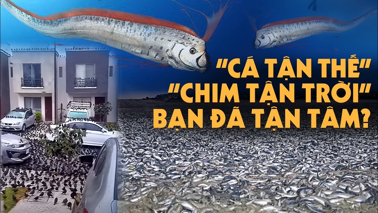 Bạn có Tin - Mẹ Thiên Nhiên Nổi Giận thì Tận Diệt sắp đến???