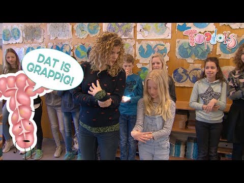 TESTJE: KUN JIJ JE DUIM HELEMAAL NAAR JE ONDERARM BRENGEN?! - TOPDOKS LICHAAMSTRUC