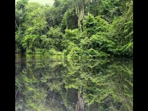 Hishiryo Meets Naverius - Lost Soul Depots