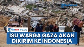 Muncul Isu Indonesia & Israel Kerjasama Depotasi 100 Warga Gaza ke RI, Kemenlu Buka Suara