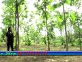 Album Baru DADANG ANESA KEDAKOM DAKOM