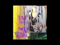 Ani DiFranco - The Million You Never Made