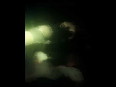 #shaminisensei #alclasses #motivation #japanclass