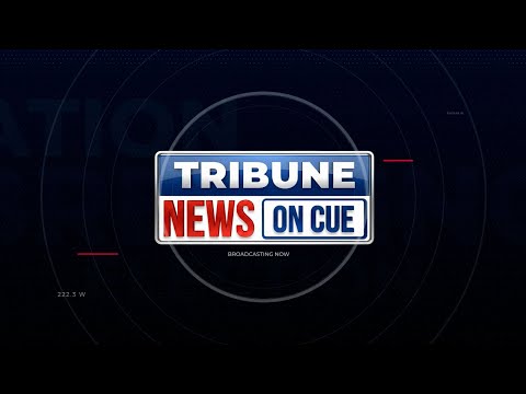 TRIBUNE NEWS ON CUE | 10 FEBRUARY 2026 I TUESDAY | 1:00 PM