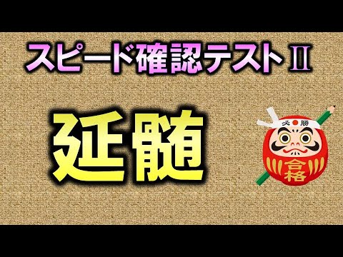 延髄について詳しく解説